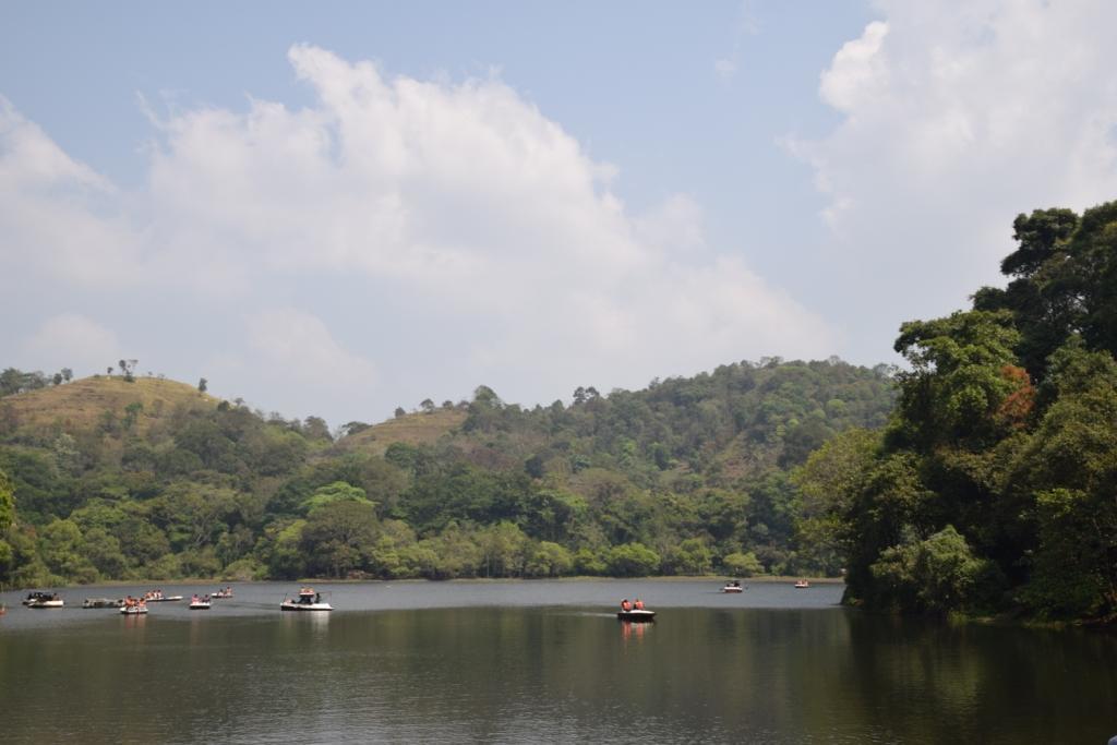 Stay Simple 3 Hills County Resort Kalpetta Esterno foto